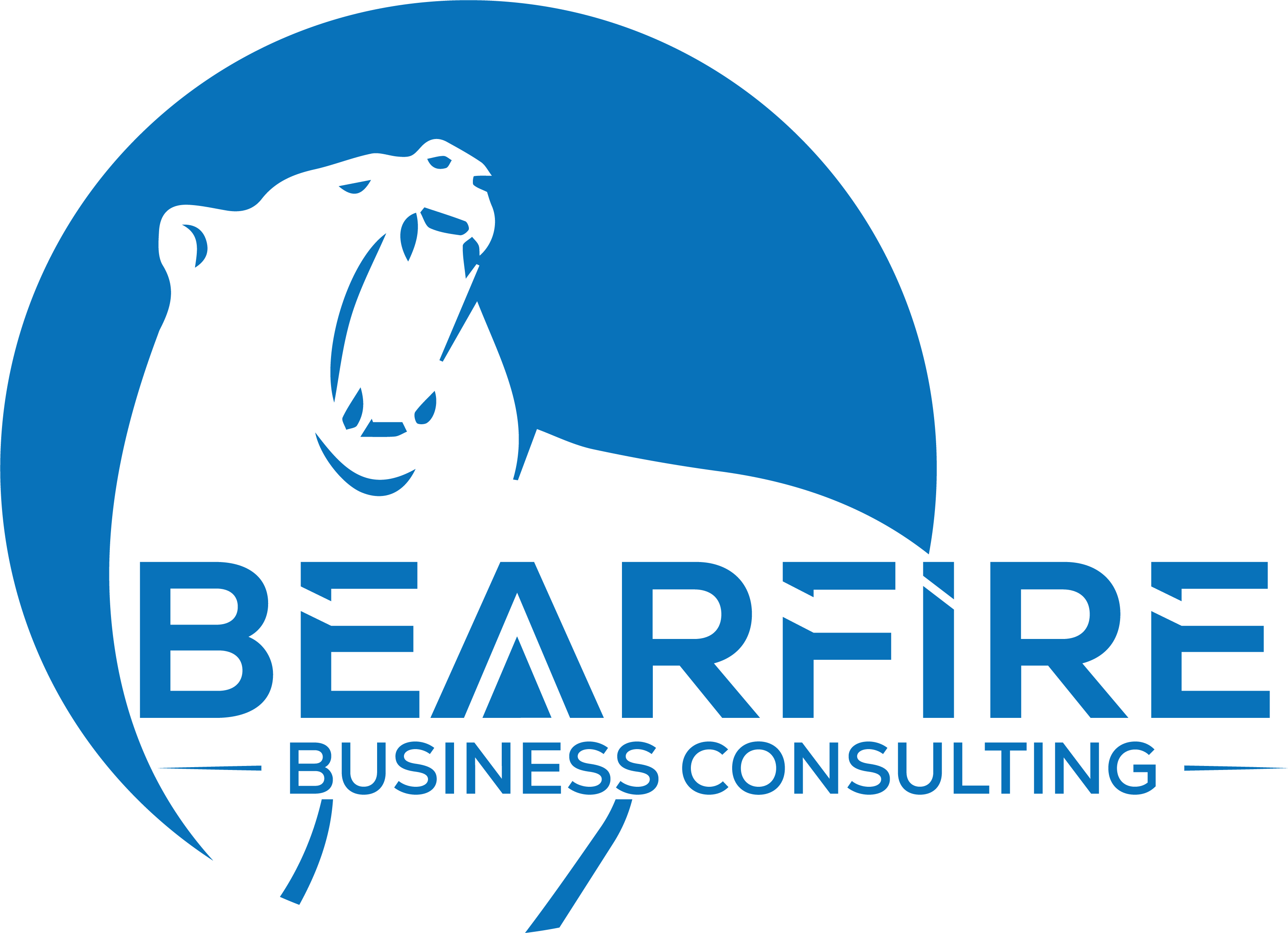 BEARFIRE BUSINESS CONSULTING